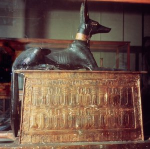 Anubi, dio egizio dei morti, seduto su un cofano a forma di santuario, dalla tomba di Tutankhamon (c.1370-52 a.C.) Nuovo Regno